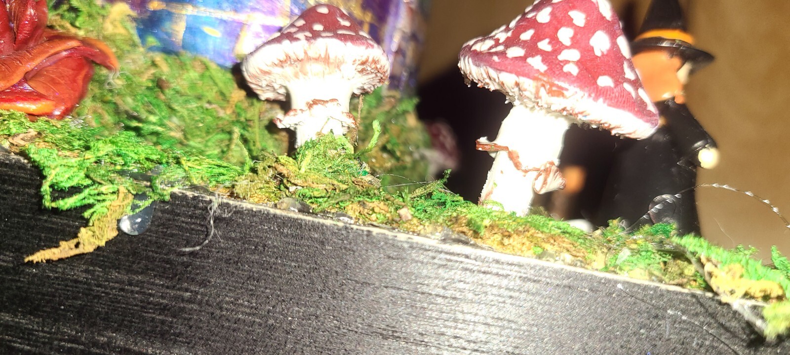 Picture 9 of 13