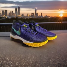 Nike Zoom LeBron NXXT Gen Lakers for Sale | Authenticity