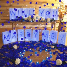 2051 Pcs Proposal Decorations Kit 15 Will You Marry Me Sign Luminary Paper Ba...