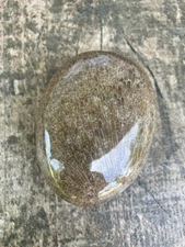 4.3oz Beautiful Polished Feather Banded Favosite Charlevoix Stone FossilMichigan