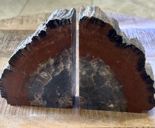 Arizona Petrified/Agatized Wood Bookends Polished Rock 5.5lbs