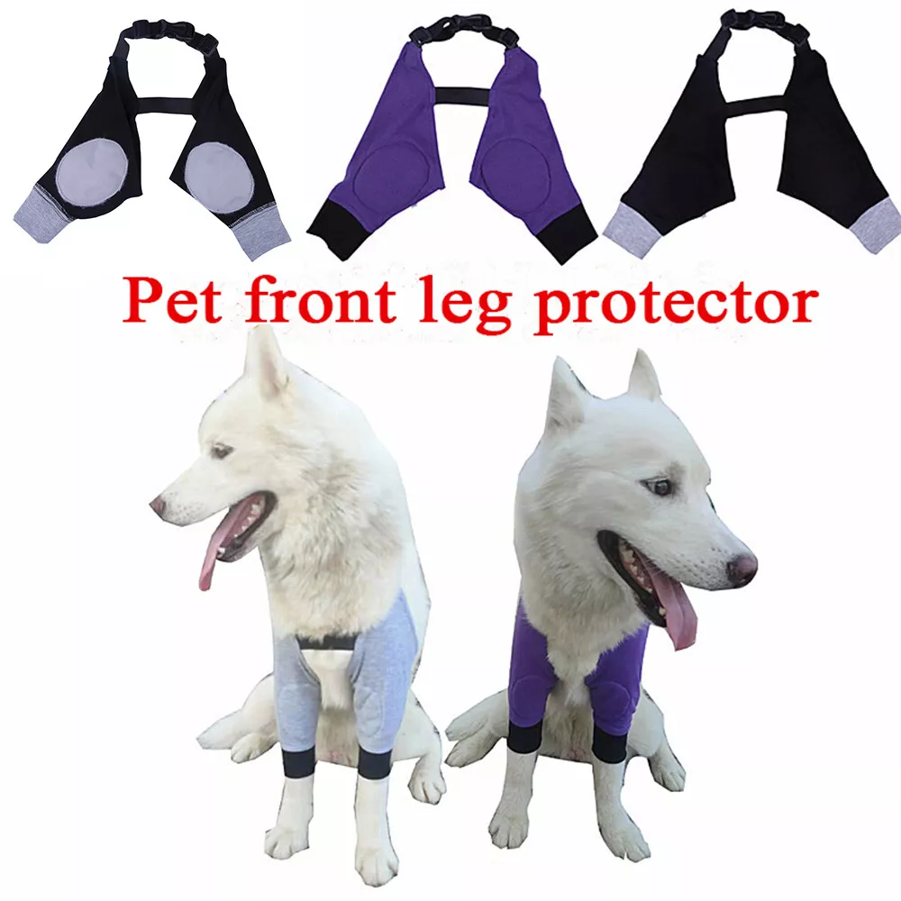 Dog Elbow Sleeves Pad Recovery Bandage Dog Accessorie Dog Front