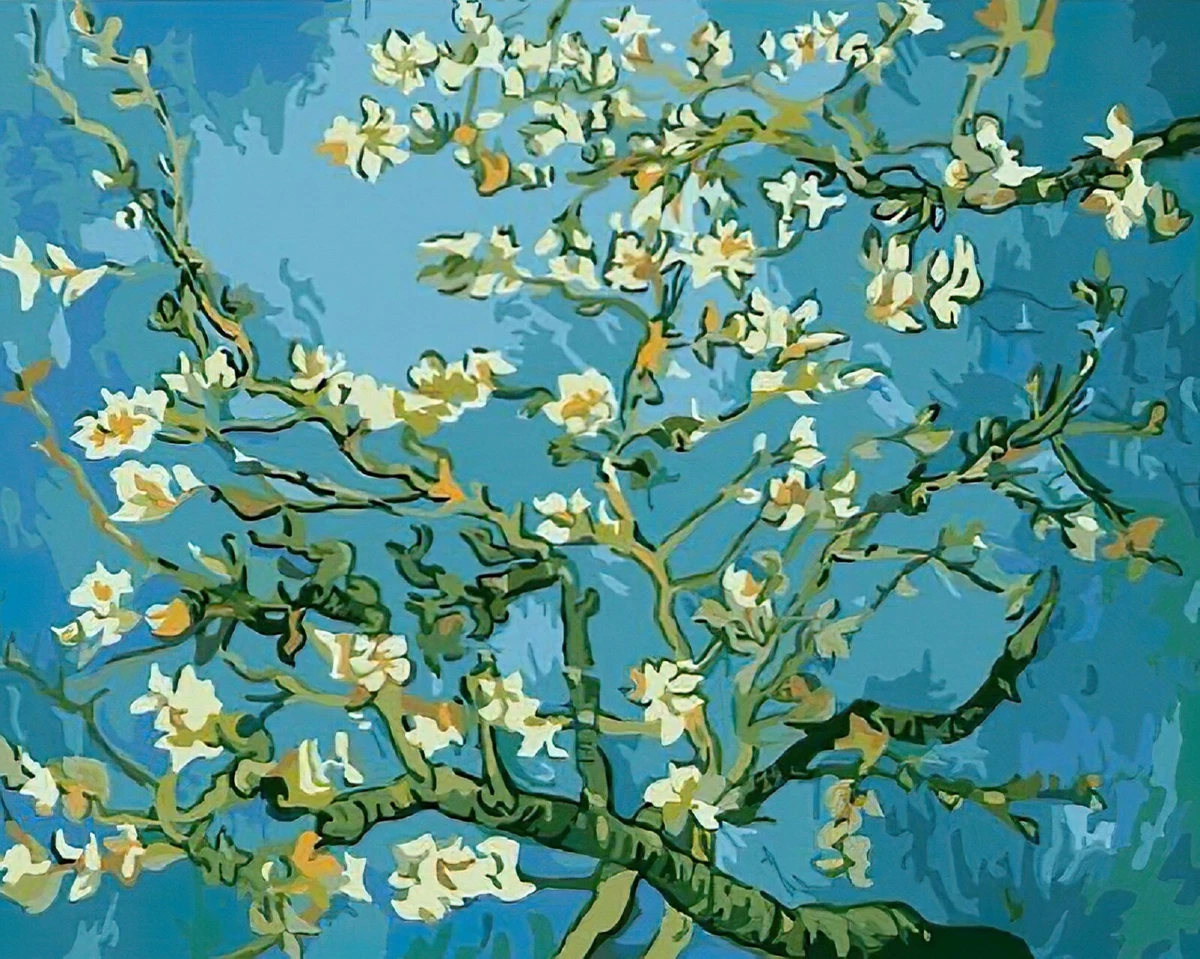 Paint by Numbers Adult Kit Almond Blossom Van Gogh DIY Famous