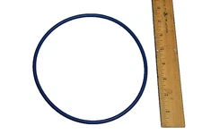 PRO SERIES VALVE/TANK O-RING **OEM (HAYWARD - GMX600F)