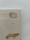Picture 8 of 10