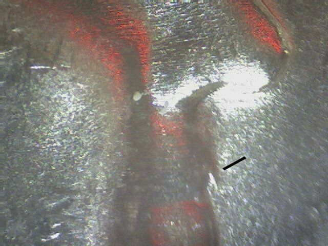 Picture 3 of 4