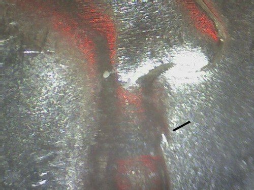 1956 FRANKLIN HALF DOLLAR "BUGS BUNNY" ICG MS64 0601 - Picture 3 of 4