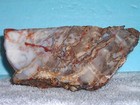 LARGE ROUGH CUT AGATE--1 1/2+ POUNDS! FANTASTIC LAPIDARY MATERIAL — photo 1