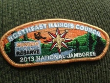 Mint 2013 JSP Northeast Illinois Council Orange Border