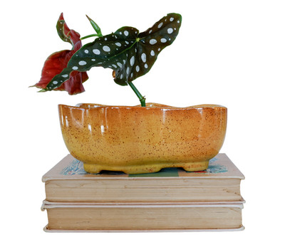 VTG 60s Speckled Glaze Planter 8'' MCM Midcentury Retro Cottage Catchall Bowl