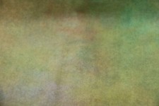 Spring Green yellow gold HAND DYED RUG HOOKING WOOL Fat 1/8 Spotted Cur