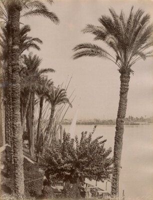 Zangaki Photo Originale Albuminée Égypte Karnak Tableau De Victoire XIXe 21,4x27,8cm