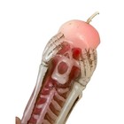 Bild 7 von 7