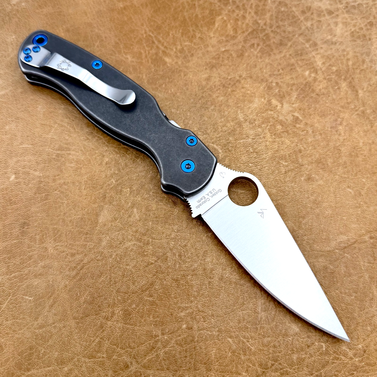 標本 Peru Colobgaster lesplendens 41mm Spyderco Paramilitary 2 C81GP2 S45vn Steel Blackwash Ano Titanium