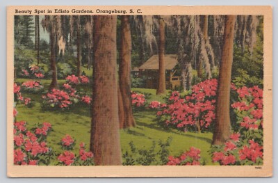 Beauty Spot in Edisto Gardens Orangeburg SC South Carolina c1954 Postcard