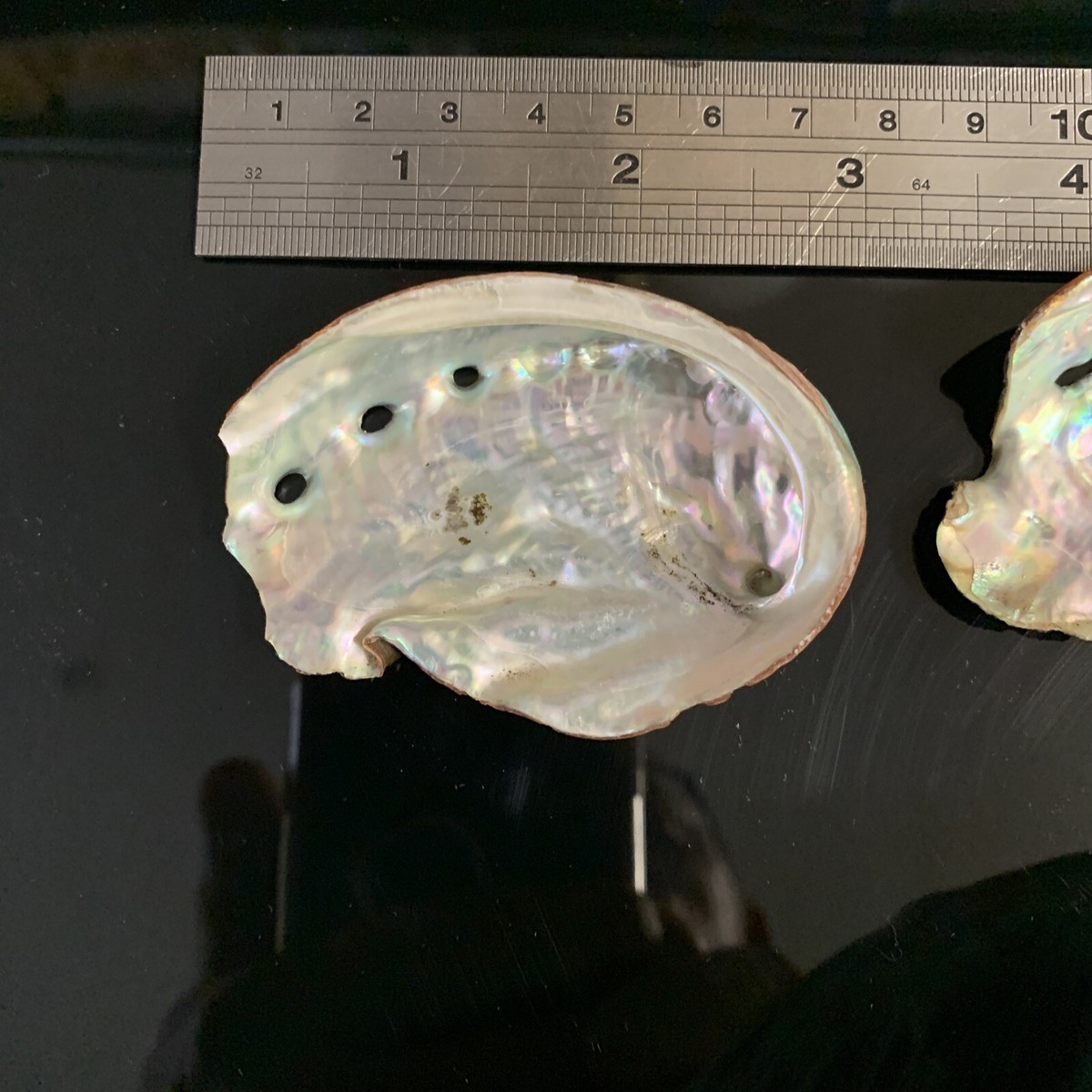 アバロン (abalone) p706p5g Abalone Shell 7” x 6” Gorgeous Colors | eBay