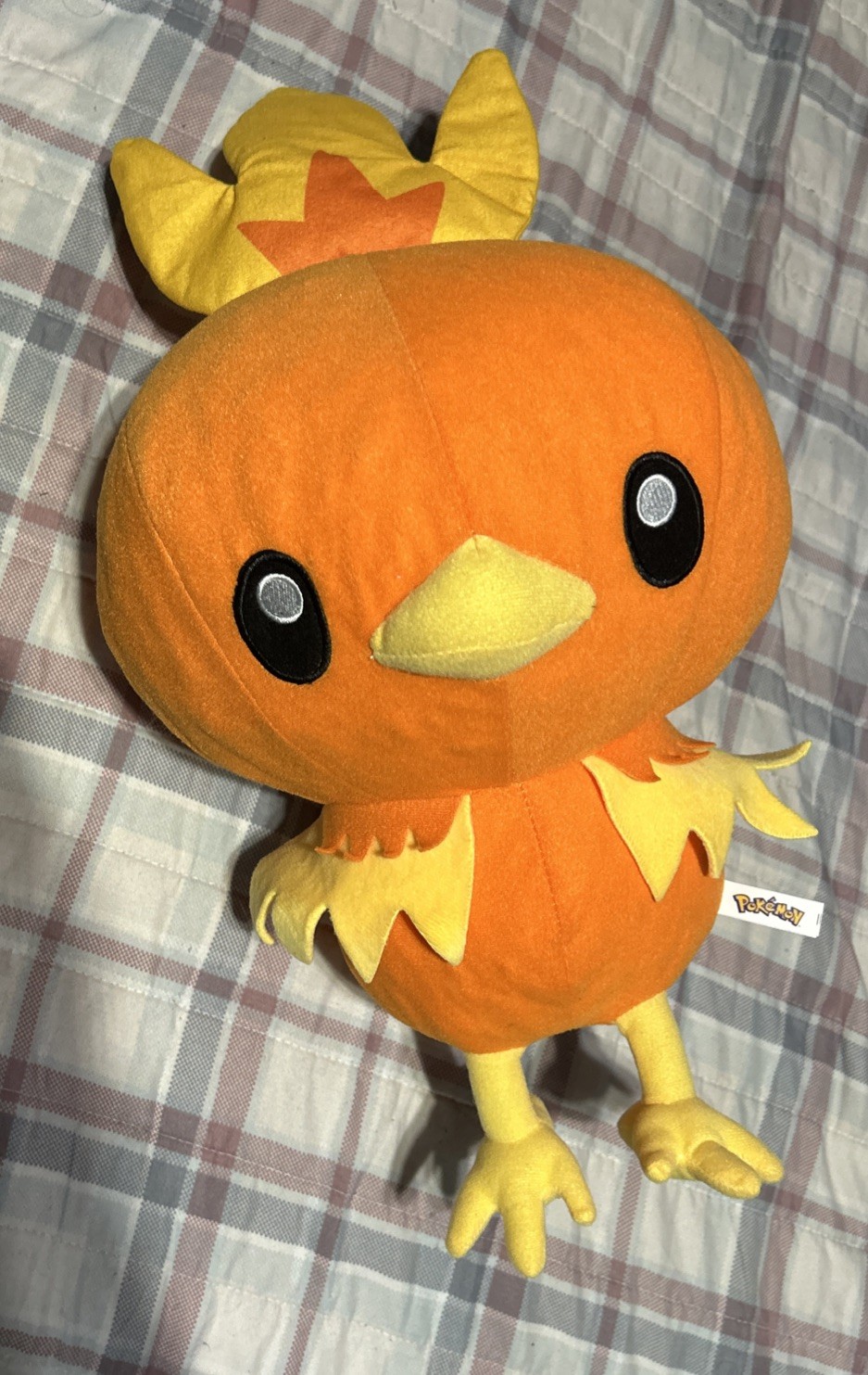 Picture 3 of 6