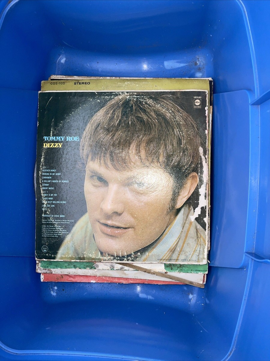 TOMMY ROE DIZZY 1969 STEREO LP ABCS-683 (WTF72)s | eBay