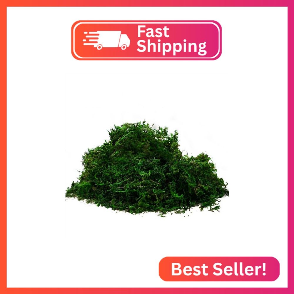 Byher 92926 Preserved Forest Moss, Fresh Green (2OZ)