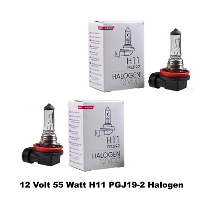 2x M-Tech 12V 55W H11 PGJ19-2 Halogen Glühlampe Autolampe Glühbirne Lampe   T8w