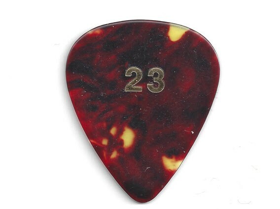 Pearl Jam Eddie Vedder Guitar Pick EV 23 Rare Tour Concert Stage