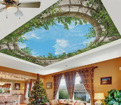 3D Sky Dream Uralt Bogen Grün Tapete Wandbild Abnehmbar Abwaschbar Abziehen & Kleben