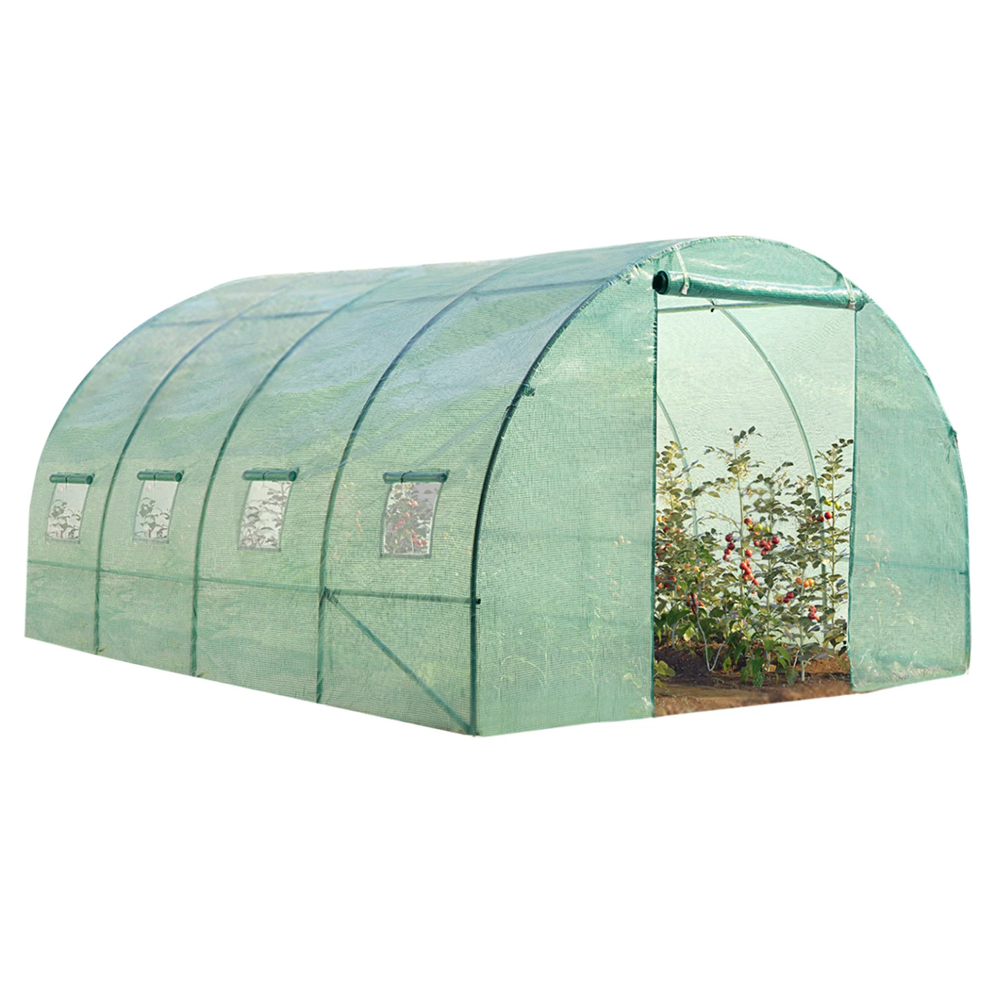 Serre tunnel de jardin maraîchère 12m² verte ZEBRA 4x3m sous bâche plastique