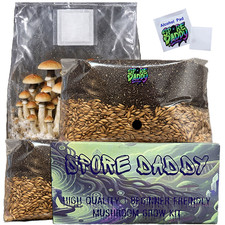 Bolsa de cultivo de hongos para amantes del estiércol | 4 libras | Spore Daddy