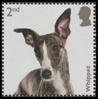 Bild 6 von 11