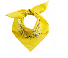 Classic Paisley Cotton Printed Square Bandana - Colors P