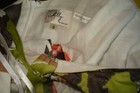 Bild 3 von 5