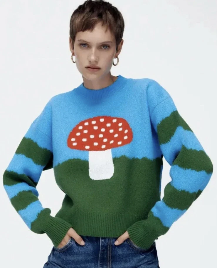NEW BNWT ZARA Bloggers Favourite Mushroom 🍄 u0026amp; Stripe Jumper sz MEDIUM  Sold Out | eBay