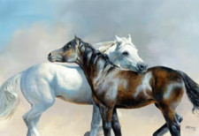 Playful wild horses white brown country western ceramic tile mural backsplash