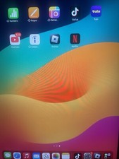 iPad 9 Gen With TikTok Perfect Condition Come Get It