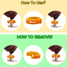 100 Pcs 16mm Chicken Leg Bands Number 01-100, Colorful Chicken Identification...