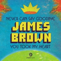 Brown - Never Can Say Goodbye - Vinyl - F600Z