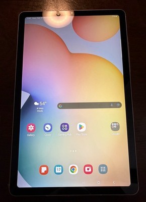 Samsung Galaxy Tab S6 Lite (2024) 64GB Wi-Fi w/ S Pen & Pink Case Bundle