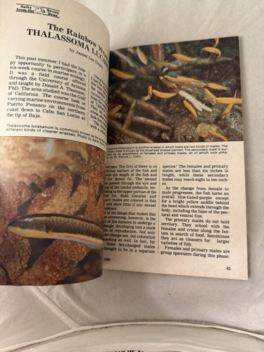 Tropical Fish Hobbyist Magazine Mai 1980 Killifishes Ghost Shrimp Goldfish Newt - Bild 6 von 7