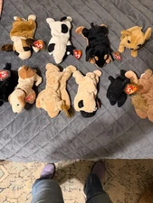 Lot of Ty beanie dogs (10)