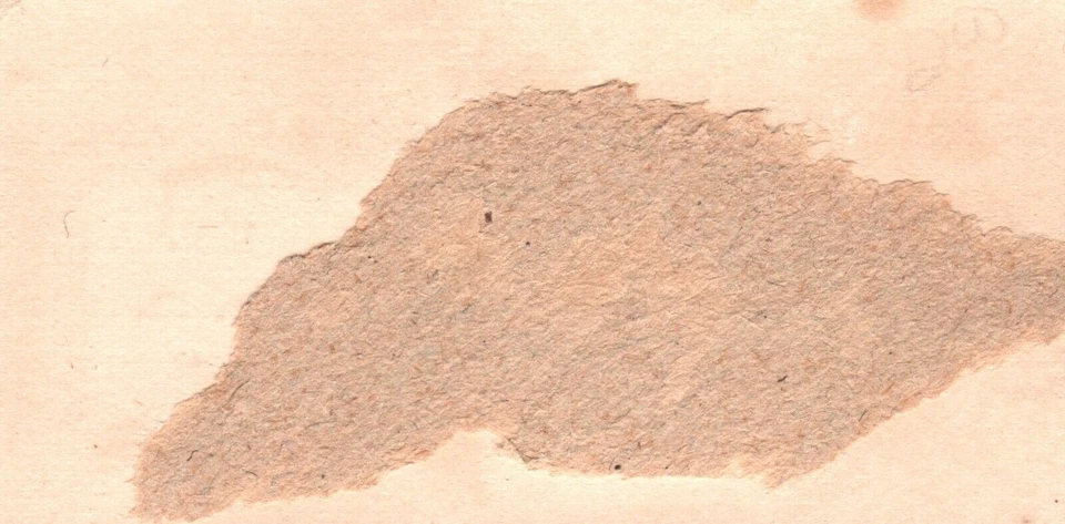 1880s-90s Blue Flower Palestine Fair Opera Glass No. 2 Trade Card - Image 2 of 2