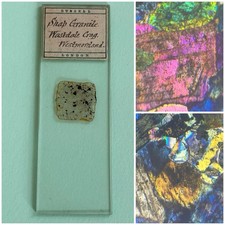  on The Hot Collector