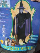 XX 18581 Wicked Witch Dress Costume Girl Rubies Wizard of OZ