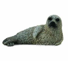 CollectA 88681 Spotted Seal Pup Sealife Toy Model - NIP
