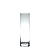 INNA-Glas Blumenvase Sansa Earth, Transparent, 20Cm, Ø6Cm