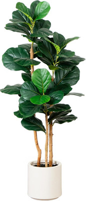 4Ft. Artificial Fiddle Leaf Tree in Stylish White Planter -