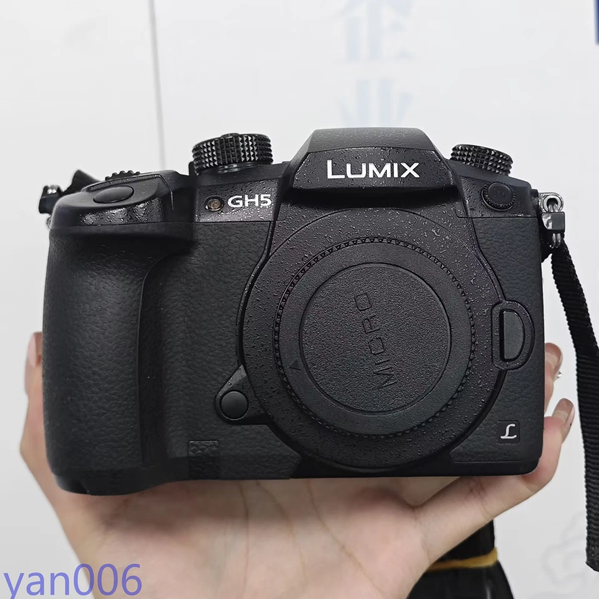 Panasonic LUMIX GH5 Digital Cameras for Sale | Shop New & Used