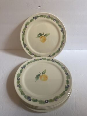 Pfaltzgraff Jamberry Precidio Melamine Plastic 11” Dinner Plates