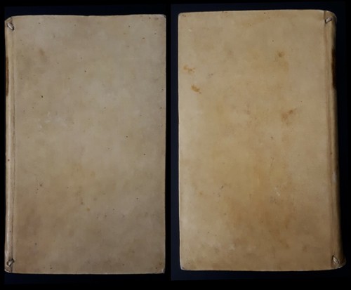 Desiderii Erasmi Roterodami Colloquia, cum notis selectis variorum .. 1729 - Foto 11 di 12
