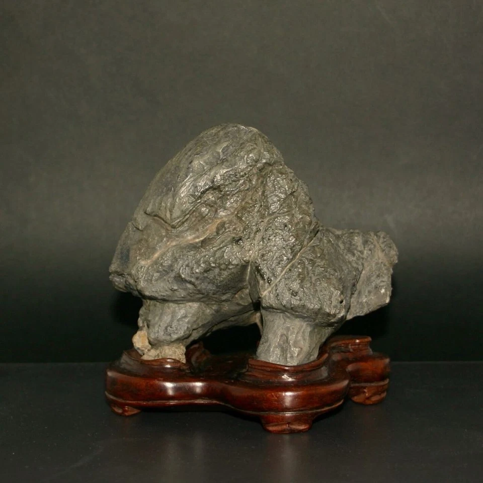 SUISEKI, BONSEKI Furuya Stone con una gran entrada a la cueva, piedra Kaya, ped Karaki Foto 2 de 4