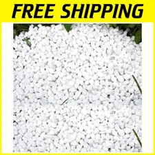 Versatile 45lbs White Gravel Rocks for Plants, Terrariums, and Creative Projects